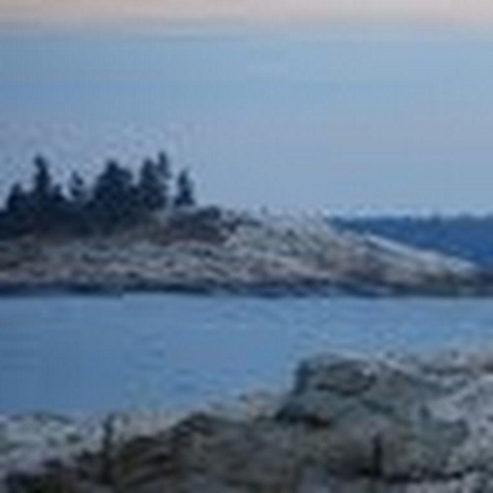 Meet your Posher, Hailie